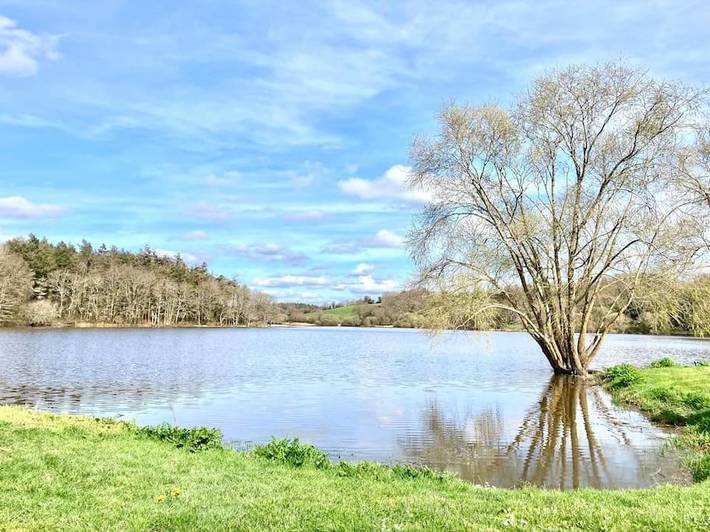 Location de vacances pour 3 personnes, avec terrasse dans Lac du Jaunay - 3