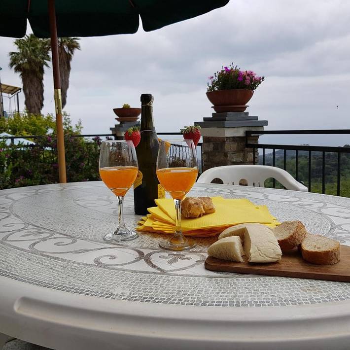 Gîte pour 4 personnes, avec Terrasse ainsi que Jardin et Vue dans Lingueglietta