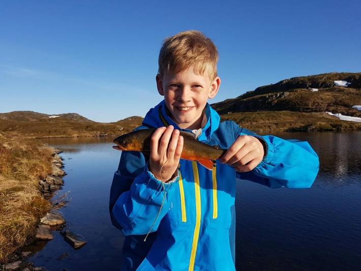 Ferienhaus für 6 Personen, mit Ausblick und Seeblick sowie Garten in Etne - 4