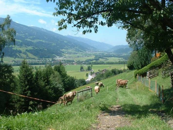 Fuchshof - Doppelzimmer mit Dusche, Wc in Aich, Schladming-Dachstein