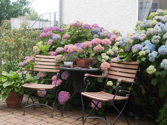 Ferienwohnung für 3 Personen, mit Terrasse und Garten in Neckarsulm - 3