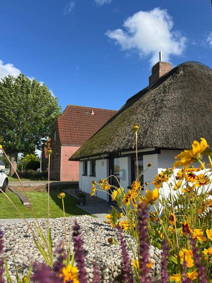 Ferienhaus für 2 Personen, mit Terrasse und Garten in Oesterdeichstrich