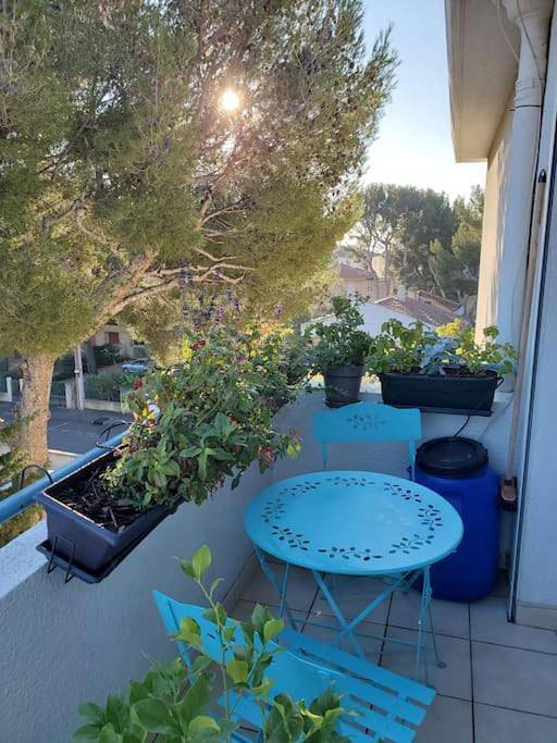 Gîte pour 6 personnes, avec balcon et vue dans La Grande Plage (La Ciotat) - 4