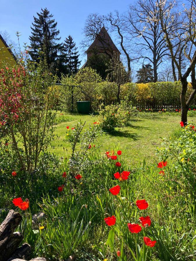 Villa Kunterbunt: Urgemütlich und fast perfekt in Hohen Wangelin, Mecklenburgische Seenplatte