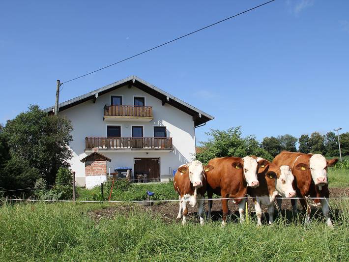 Bauernhof für 4 Personen, mit Garten in Waging am See - 2