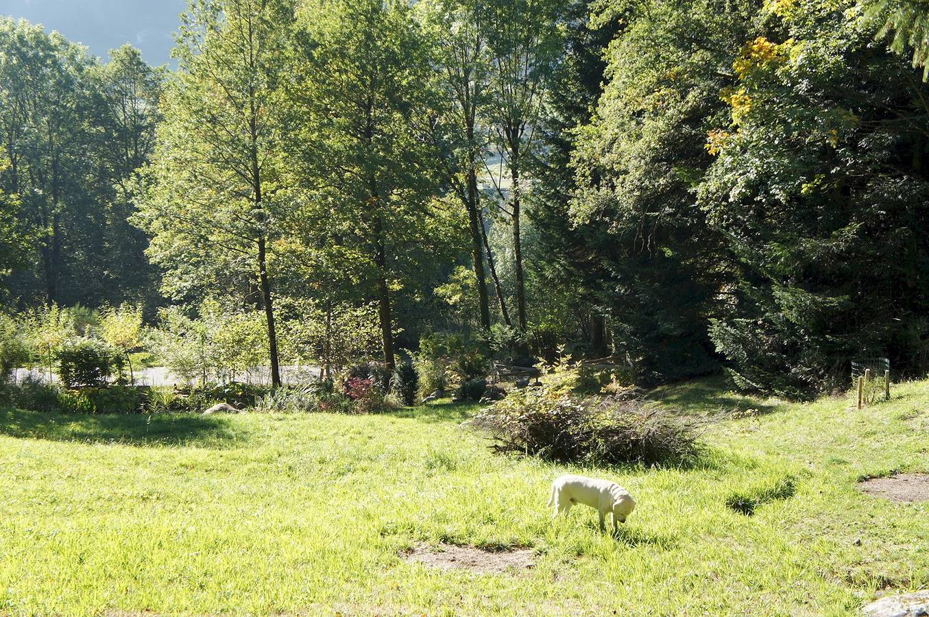 Chalet für 2 Personen mit Garten in Sapois, Regionaler Naturpark Belchen der Vogesen