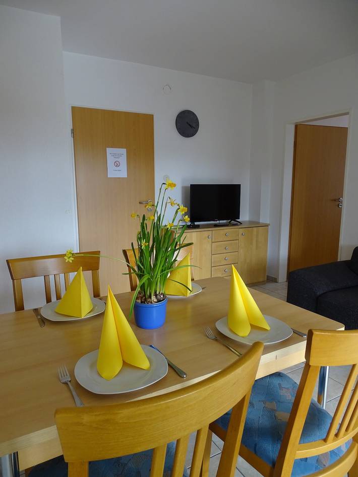 Ferienwohnung für 4 Personen, mit Garten und Sauna sowie Terrasse in Haselünne - 3