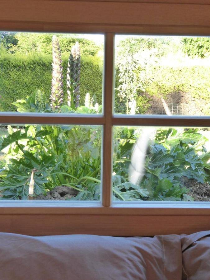 Gîte pour 4 personnes, avec terrasse ainsi que jardin et vue à Tréméoc - 3