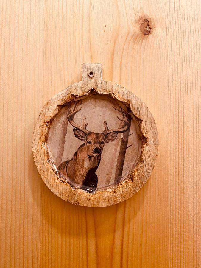 Gîte pour 8 personnes, avec terrasse et vue dans Val Louron - 3