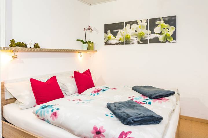 Geheel appartement, Vakantieappartement 'Naturpur' – Ruim, rustig en ideaal voor gezinnen in Freistett, Rheinau