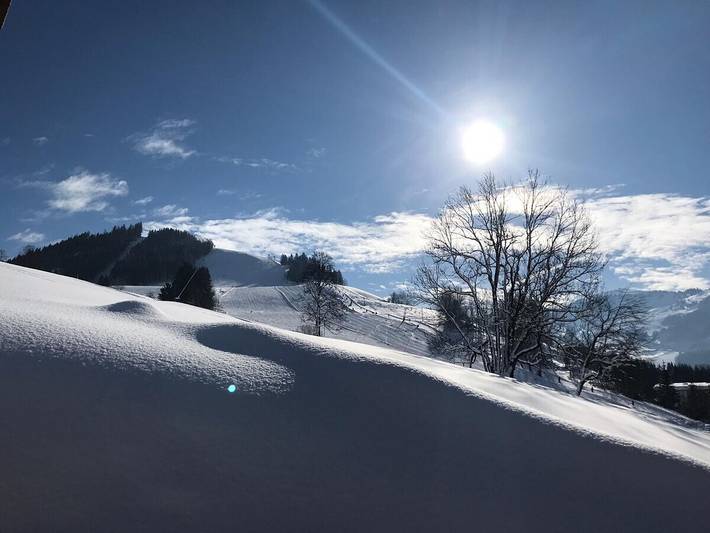 Ferienwohnung für 4 Personen, mit Garten, mit Haustier in Maria Alm - 4