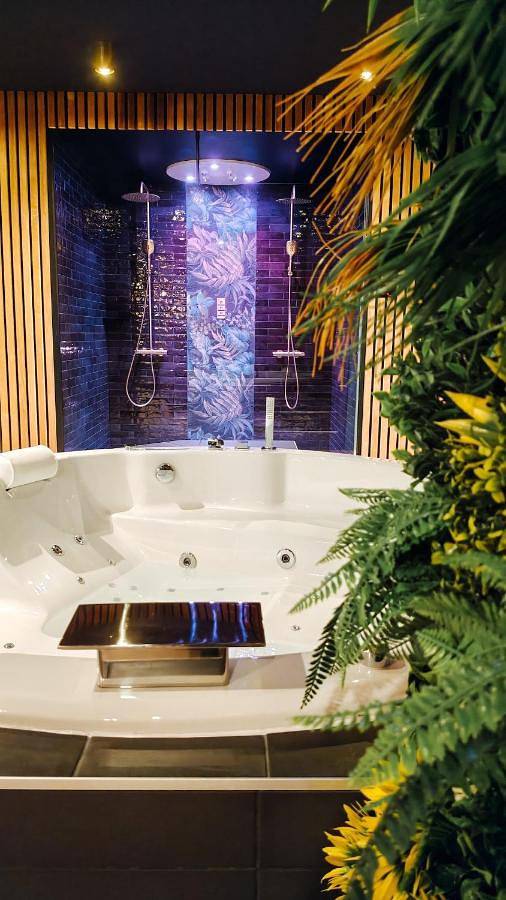 Appartement entier, Toi et moi gite Love room avec Hammam, Sauna, Balnéothérapie ensemble privatisés in Le Coudray, Région de Chartres