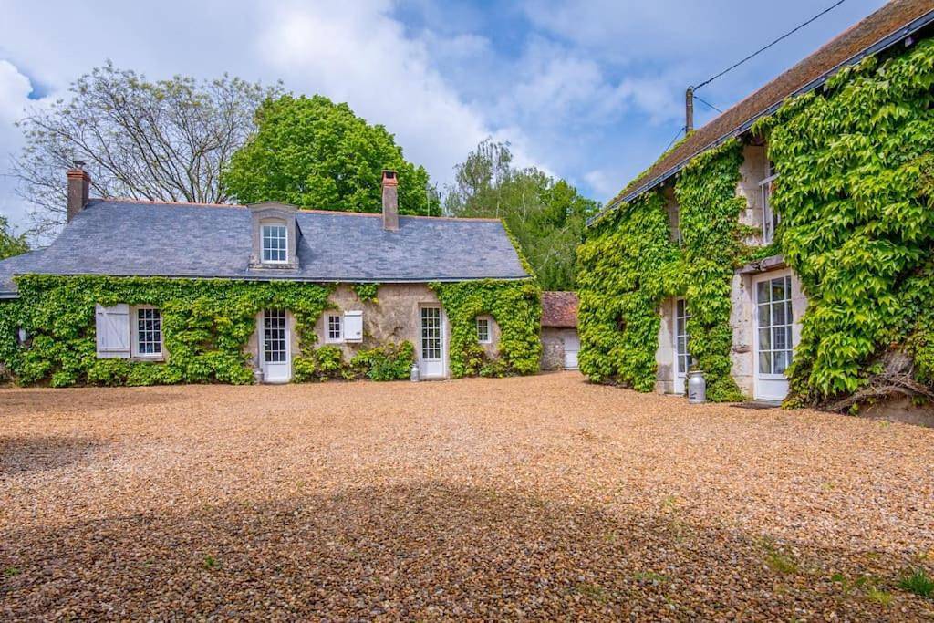 Les maudines in Bocé, Vallée de la Loire