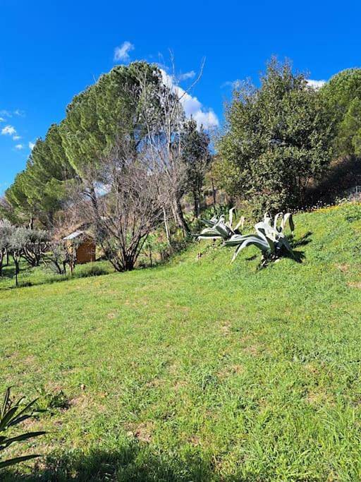 Location de vacances pour 6 personnes, avec jardin ainsi que vue et balcon à Vailhauquès - 4