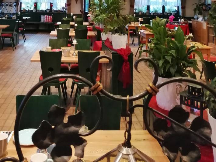 Hotel Restaurant Zum Ochsen - Einzelzimmer in Schallstadt, Südschwarzwald