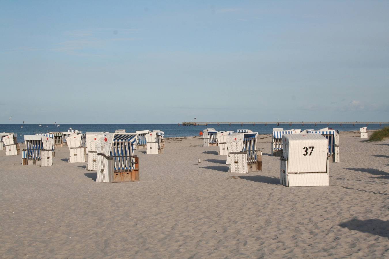 Ganze Ferienwohnung, Gh - w13 in Prerow, Fischland - Darß - Zingst