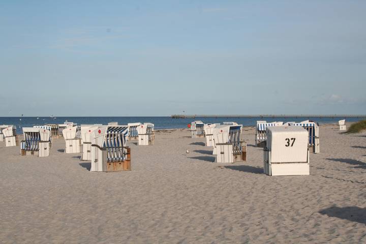 Ferienwohnung für 2 Personen, mit Haustier in Prerow