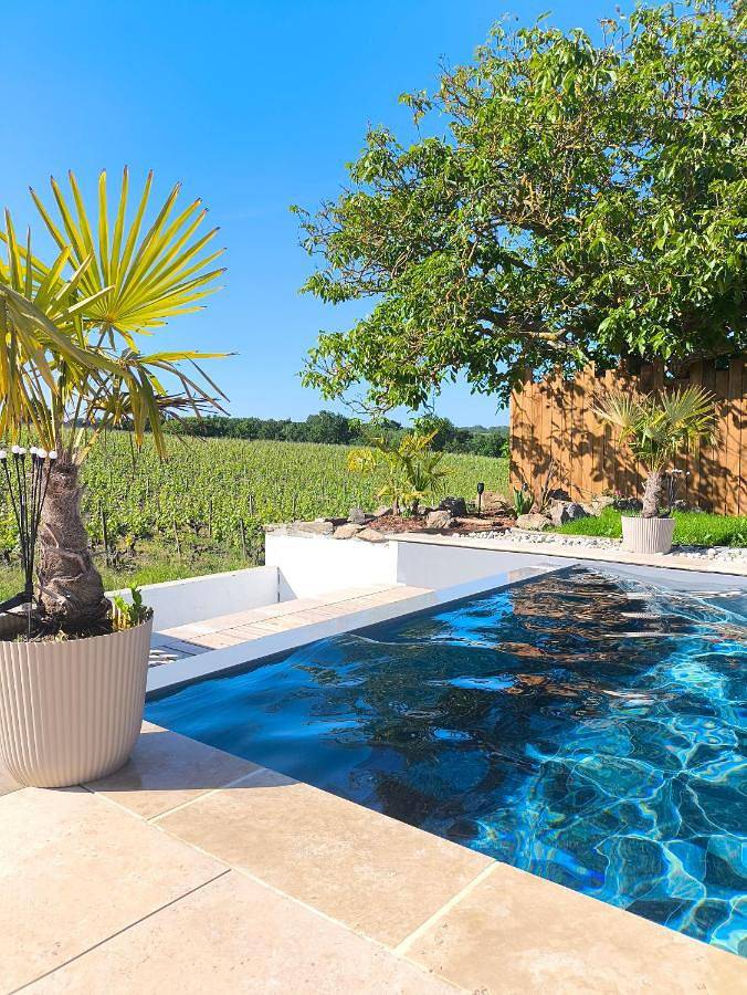 Villa pour 15 personnes, avec piscine ainsi que jardin et vue, animaux acceptés dans Maine-et-Loire - 3