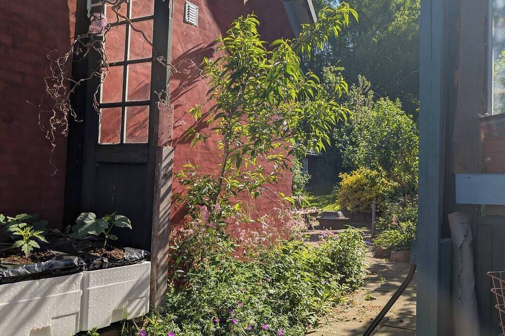 Colorful home on a natural plot with its own small forest in Hesselager, Svendborg