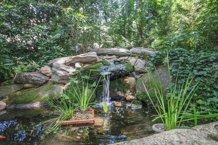 Cabin for 2 people, with yard in Black Mountain