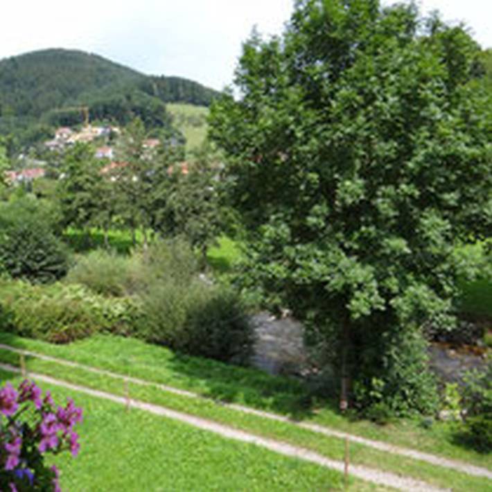 Bauernhaus für 4 Personen, mit Terrasse und Balkon/Terrasse im Schwarzwald - 2