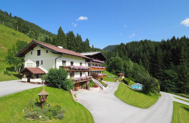 Ferienwohnung für 4 Personen, mit Balkon und Terrasse sowie Garten und Pool in Abtenau