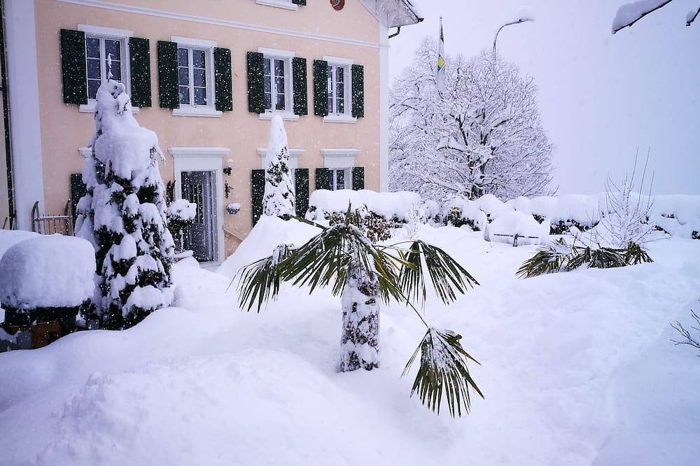 Ganze Wohnung, Ferienwohnung im Bündner Oberland in Waltensburg, Alpenarena