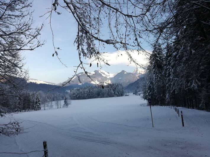 Gästehaus Puchmayr Manuela - Doppelzimmer Nr. 1 in Bregenzerwald (Vorarlberg), Mellau