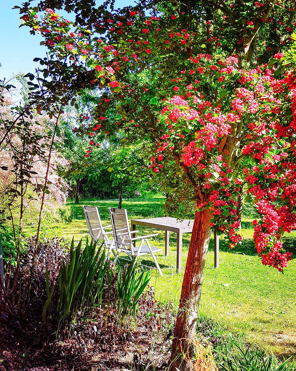 Ganze Ferienwohnung, Fewo Kräutergarten in Poseritz, Rügen