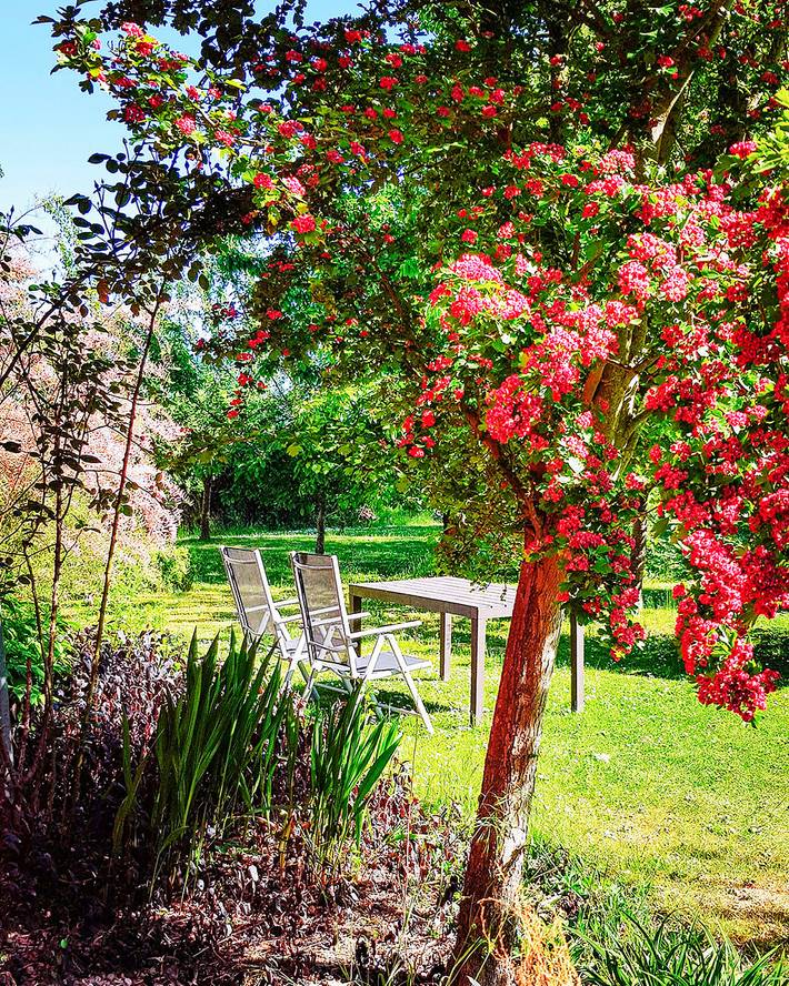 Ferienwohnung für 3 Personen, mit Garten in Poseritz - 4