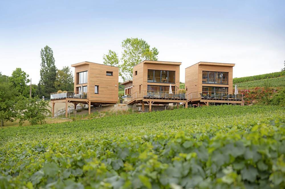 Cottages Antoinette. Cottage Fizzy Pop in Chigny-les-Roses, Parc naturel régional de la Montagne de Reims