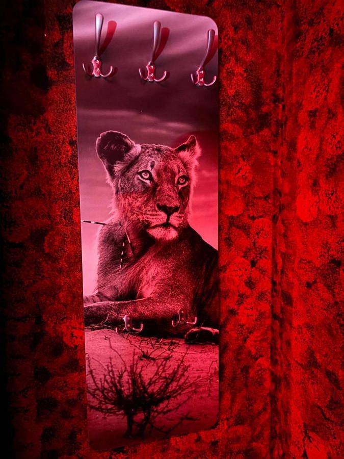 L'H Lion's Red Suite in Castrovillari, Province de Cosenza