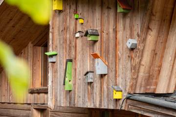 Blokhut voor 8 Personen in Veluwe, Afbeelding 4