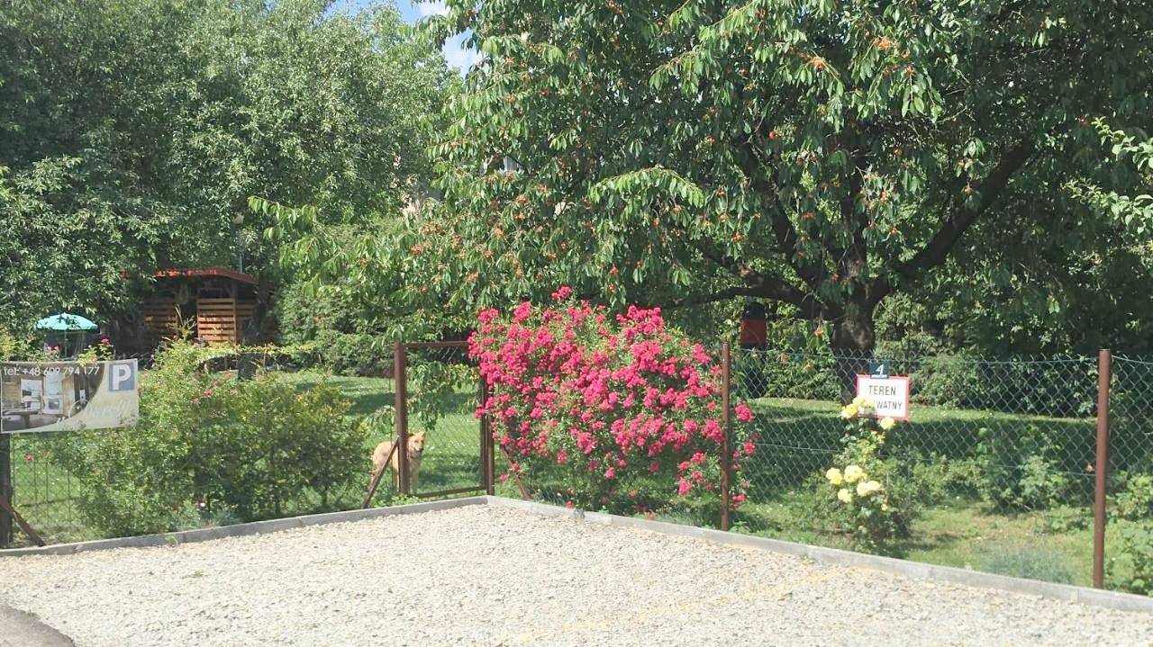 Cały apartament, Apartament u Doroty in Sanok, Karpaty (Polska)