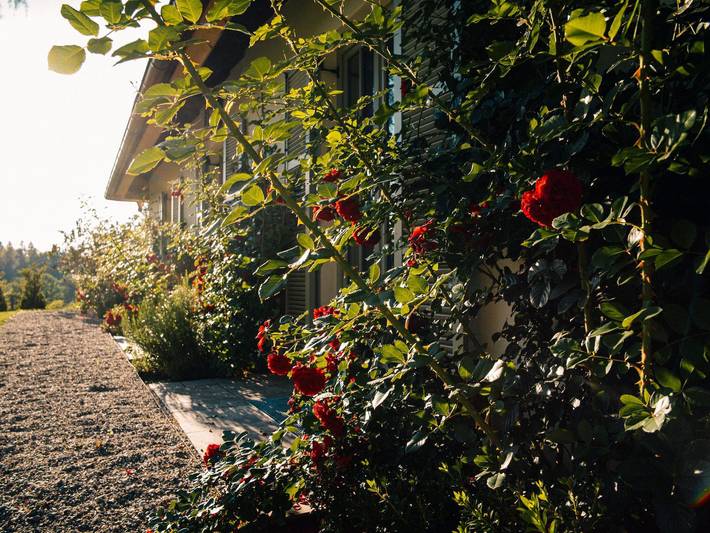 Ferienwohnung für 2 Personen, mit Terrasse und Garten im Tölzer Land - 4