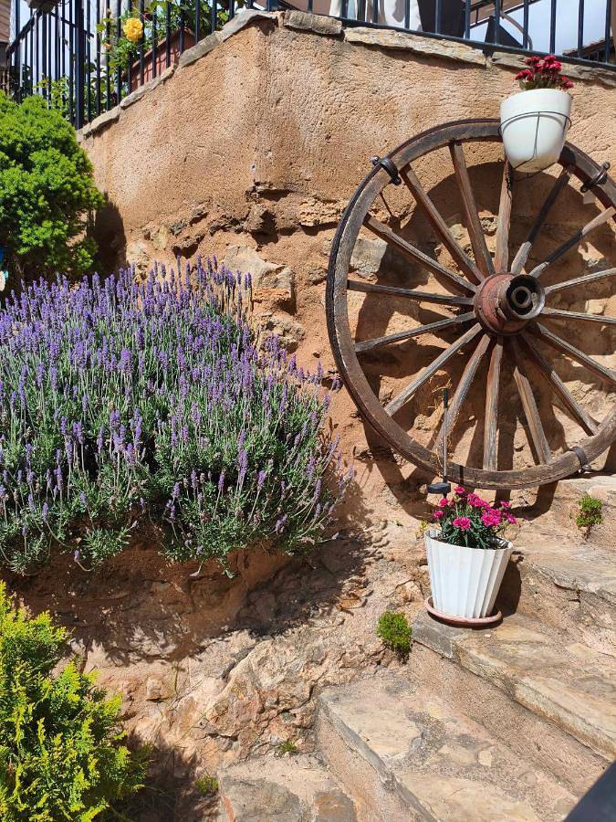 Casa rural para 8 personas, con piscina para niños además de jardín y vistas, Se admiten mascotas en Comarca de Teruel - 4