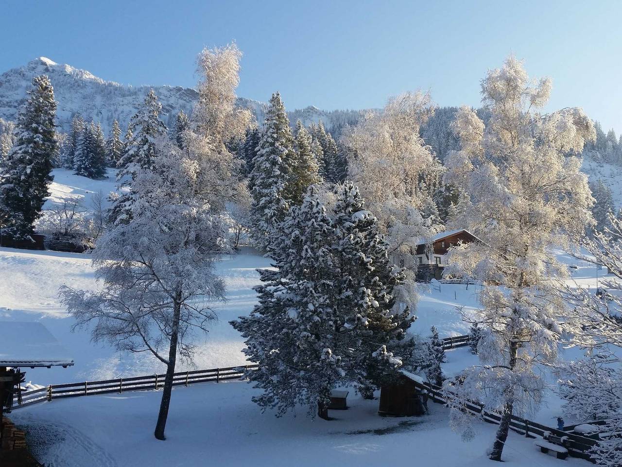 Ganze Ferienwohnung, Apartment Austria - Ferienwohnung Top 2 in Tannheim (Tirol), Allgäuer Alpen (Österreich)