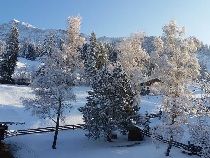 Ganze Ferienwohnung, Apartment Austria - Ferienwohnung Top 2 in Tannheim (Tirol), Allgäuer Alpen (Österreich)