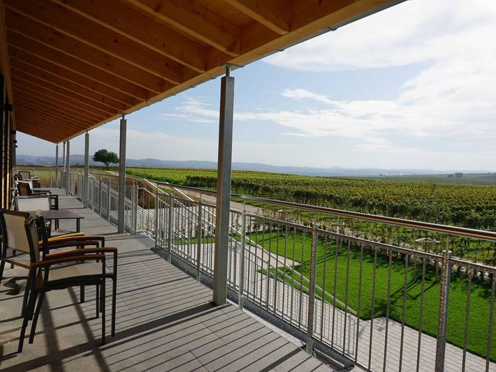 Ganze Ferienwohnung, Weingut Schaaf - Ferienwohnung 5 Rotenberg in Lauffen am Neckar, Kraichgau