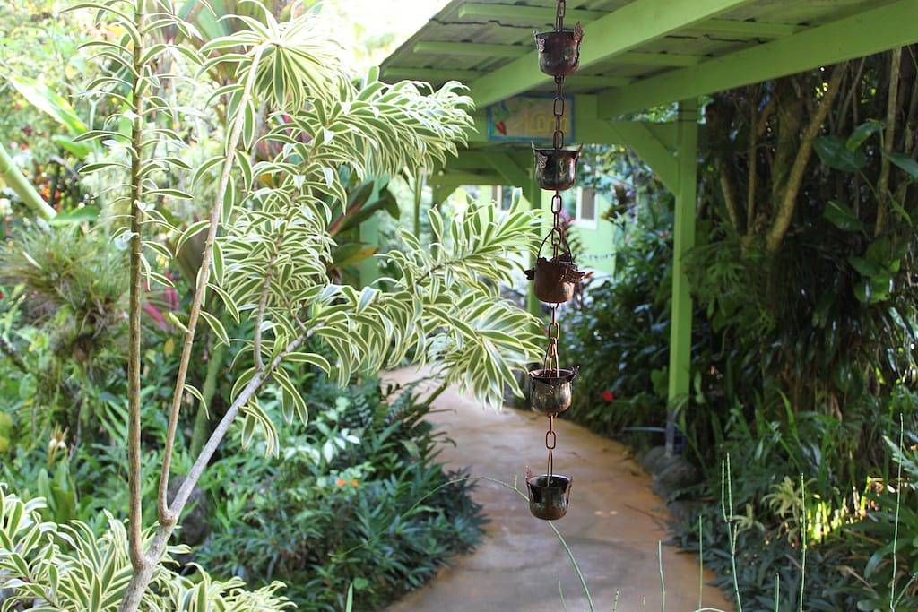 Ganze Wohnung, Regen-Waldhaus! in Hawaiian Paradise Park, East Puna