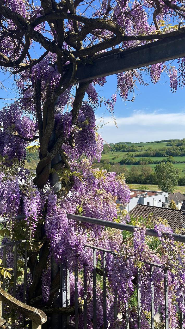Ferienwohnung für 2 Personen, mit Terrasse in Bad Sobernheim