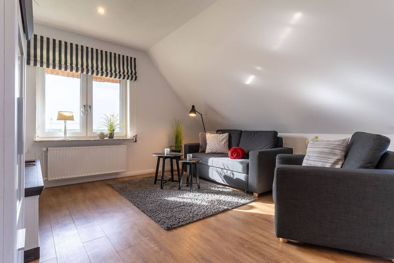 Ganze Wohnung, Top ausgestattete Reetdachferienwohnung im Weitblick kurz vor Spo in Tümlauer Koog, Eiderstedt