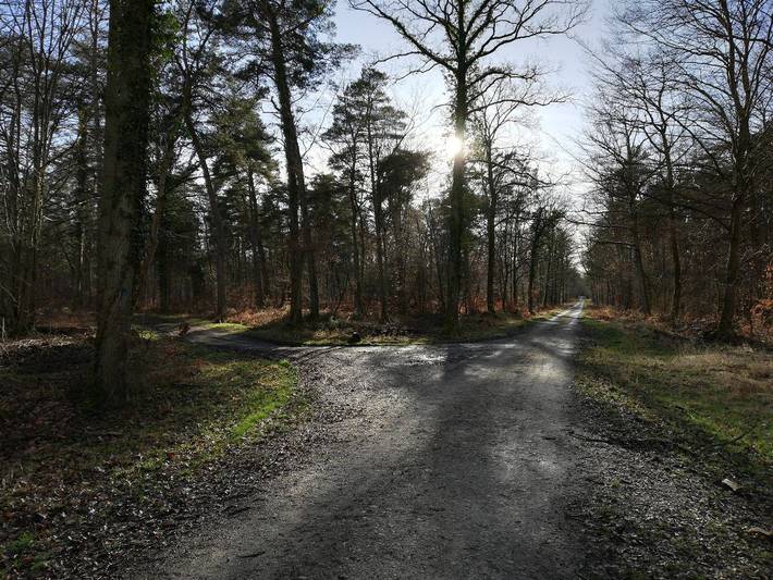 Gîte pour 4 personnes, animaux acceptés dans l' Aisne - 4
