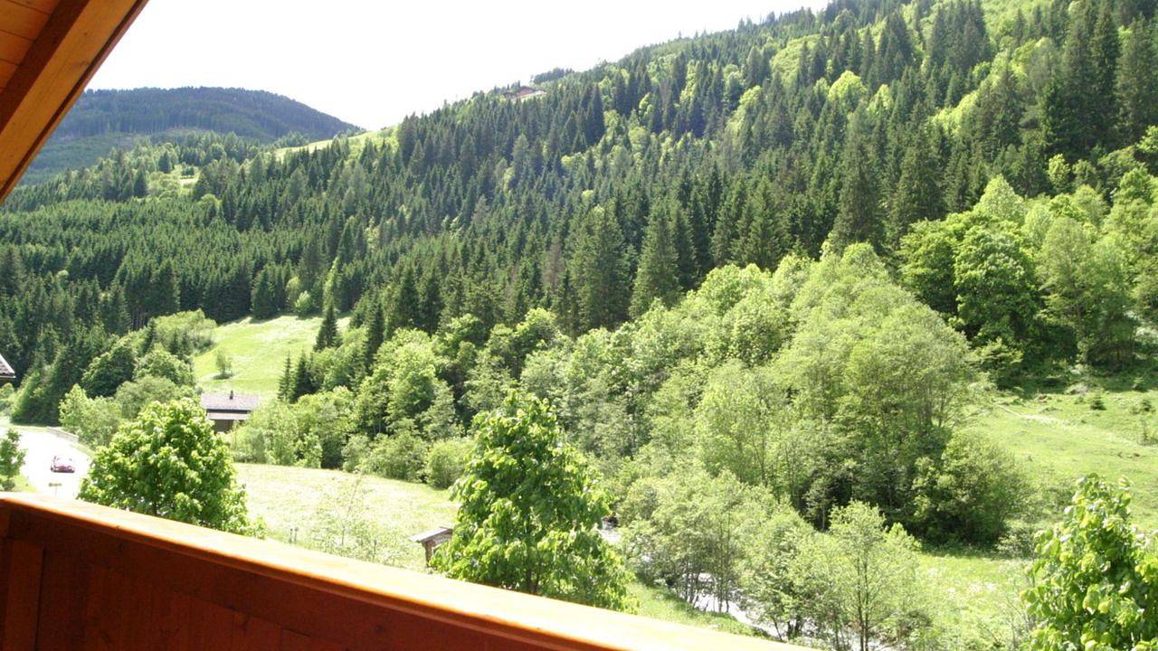 Ganze Ferienwohnung, Ferienwohnung für 6 Personen (90 m²) in Hüttschlag in Hüttschlag, Ski Amadé