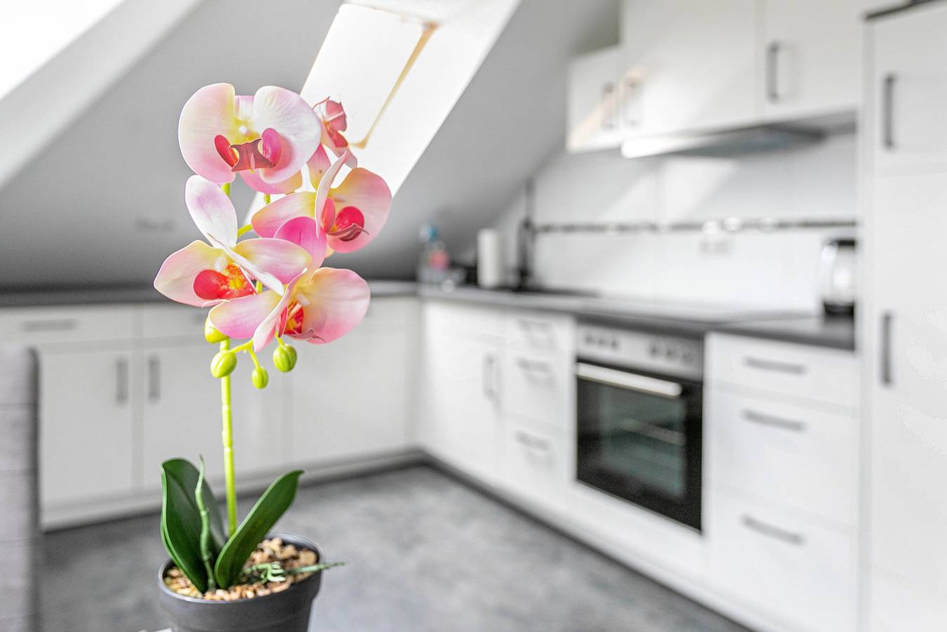 Ganze Wohnung, Apartment 'Ferienwohnung' mit Wlan in Leck, Grünes Binnenland