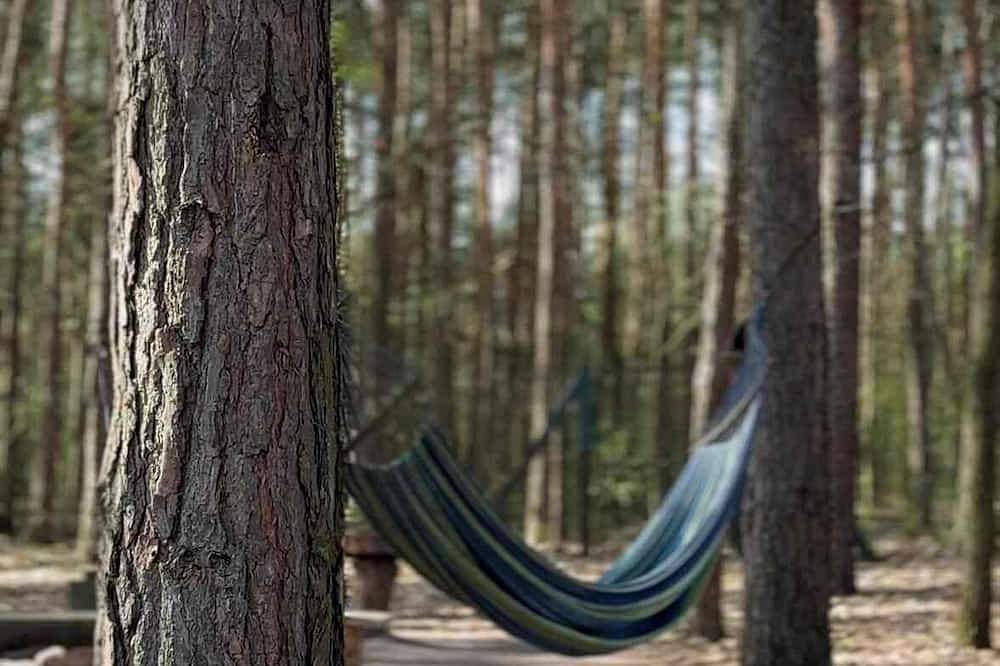 Domek na Drzewie - Leśna Przystań in Lublin und Umgebung