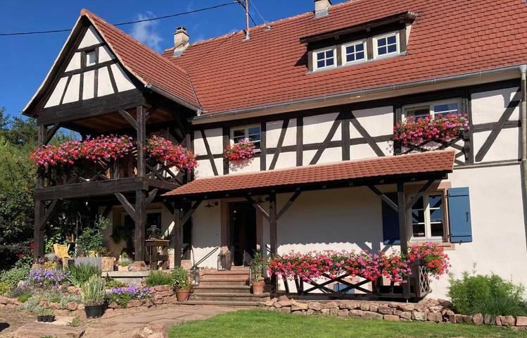 Chambre d’hôte pour 4 personnes, avec balcon et jardin à Dambach (homonymie)