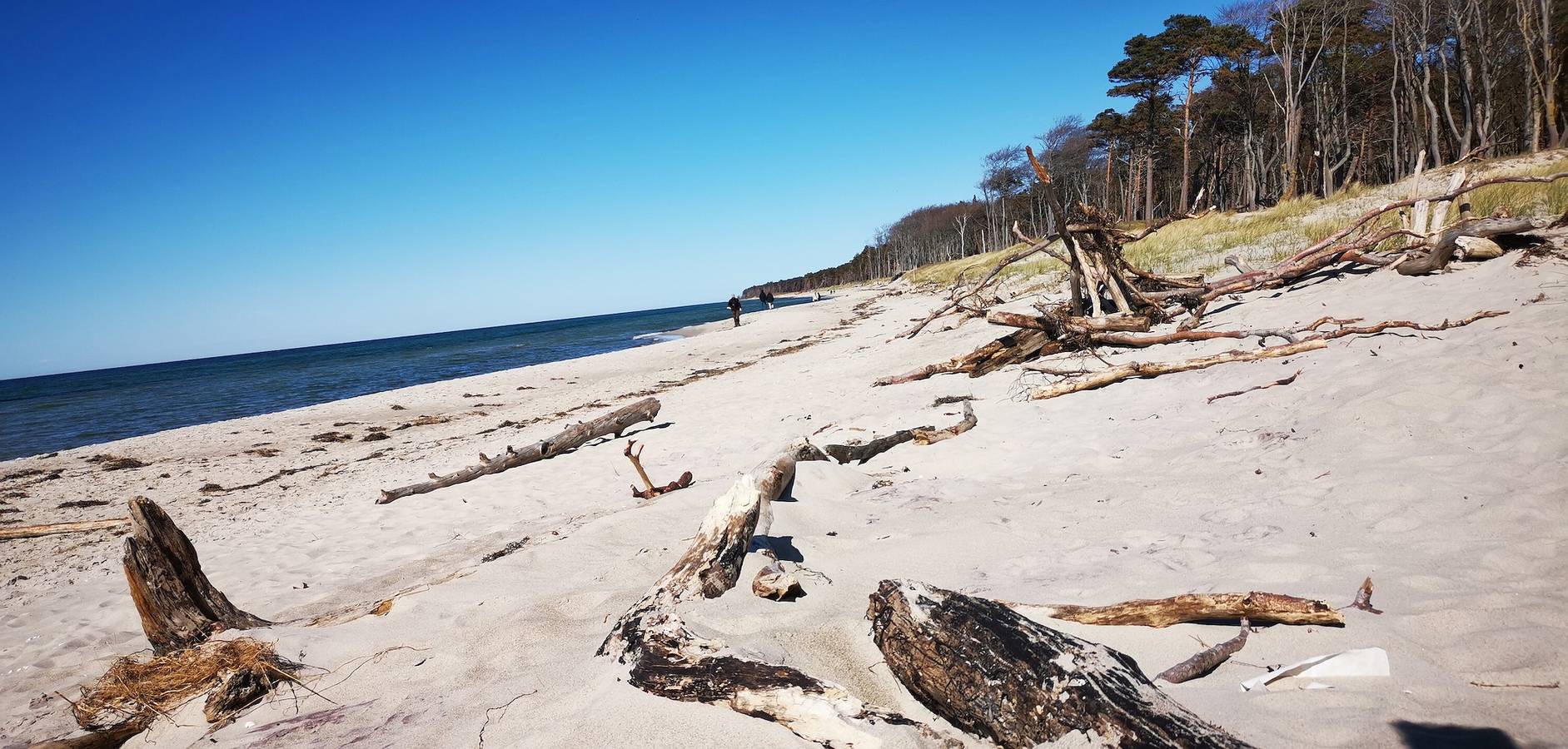 Entire apartment, Apartment 'Ostseetraum' with Private Terrace, Wi-Fi and Air Conditioning in Ostseebad Prerow, Prerow