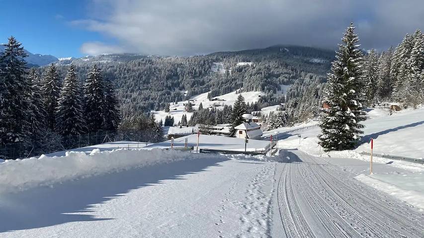 Ferienhaus für 4 Personen, mit Balkon im Kleinwalsertal - 3