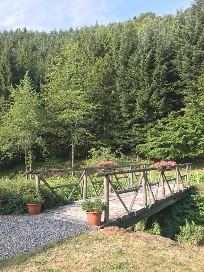 Double Room in Andlau, Région de Sélestat-Erstein